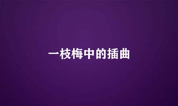 一枝梅中的插曲