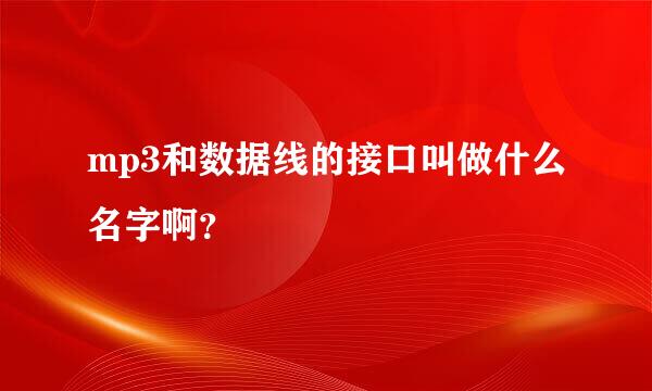 mp3和数据线的接口叫做什么名字啊？