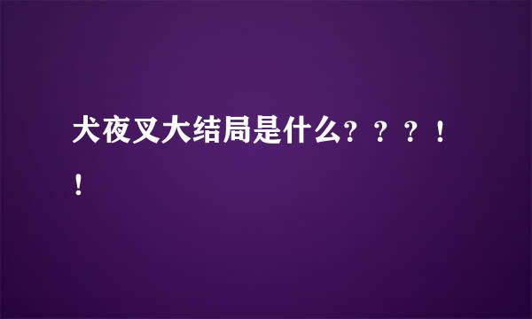 犬夜叉大结局是什么？？？！！