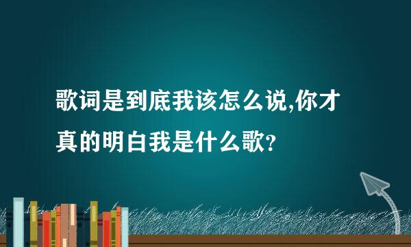 歌词是到底我该怎么说,你才真的明白我是什么歌？