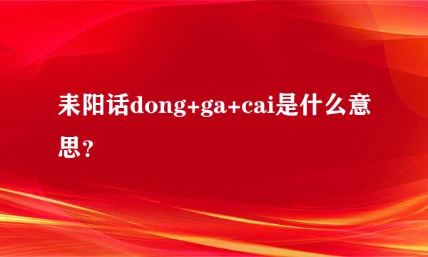 耒阳话dong+ga+cai是什么意思？