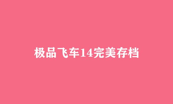 极品飞车14完美存档