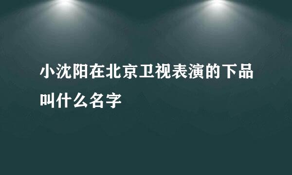 小沈阳在北京卫视表演的下品叫什么名字