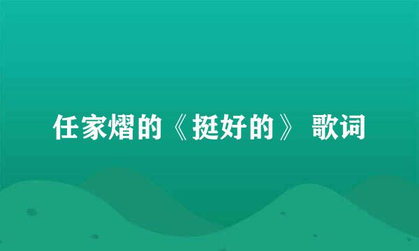 任家熠的《挺好的》 歌词