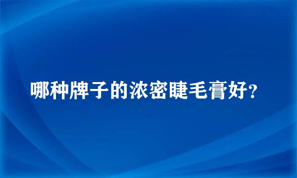 哪种牌子的浓密睫毛膏好？