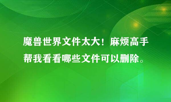 魔兽世界文件太大！麻烦高手帮我看看哪些文件可以删除。