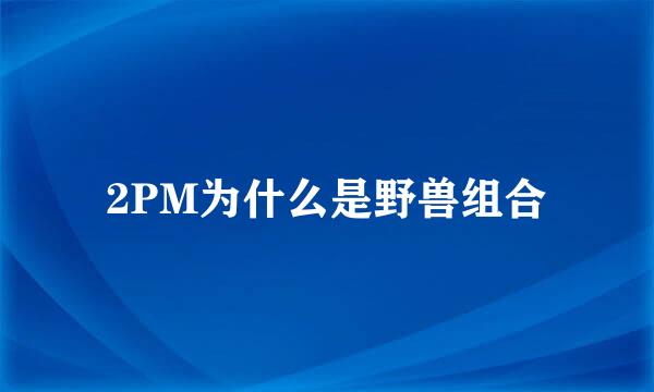 2PM为什么是野兽组合