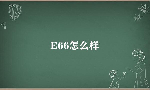 E66怎么样