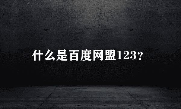 什么是百度网盟123？