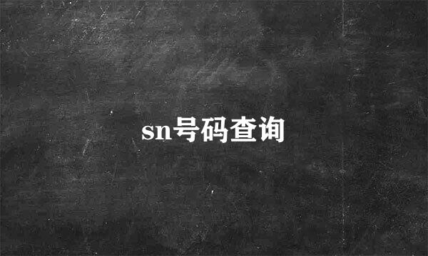 sn号码查询