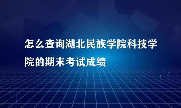 怎么查询湖北民族学院科技学院的期末考试成绩