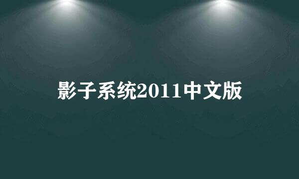 影子系统2011中文版