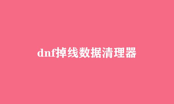 dnf掉线数据清理器