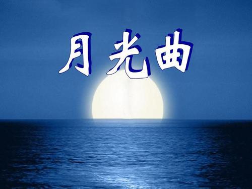 月光曲主要内容(越短越好)