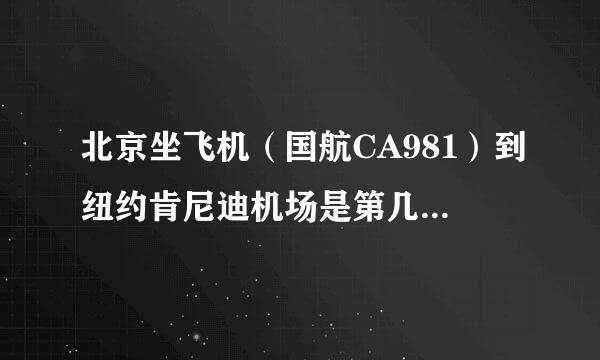 北京坐飞机（国航CA981）到纽约肯尼迪机场是第几航站楼？下飞机后的详细过程？？！！ 转机去（达美航空DL1