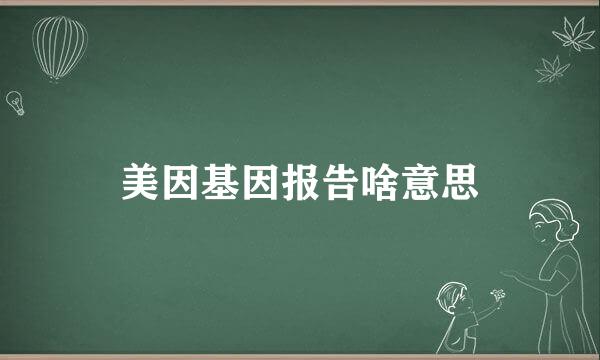 美因基因报告啥意思