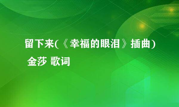 留下来(《幸福的眼泪》插曲) 金莎 歌词