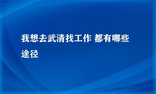 我想去武清找工作 都有哪些途径