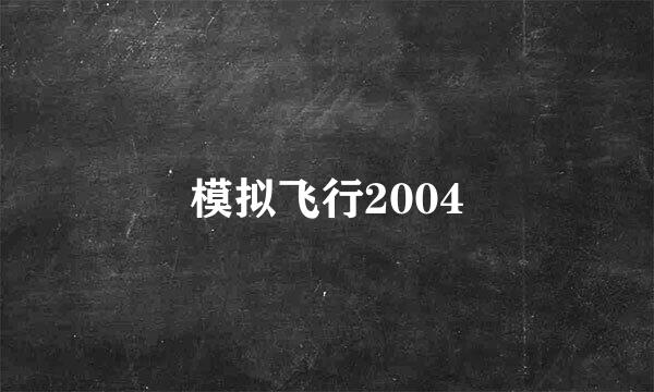 模拟飞行2004