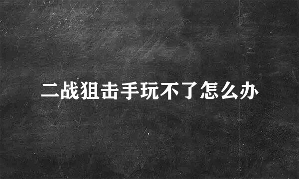 二战狙击手玩不了怎么办