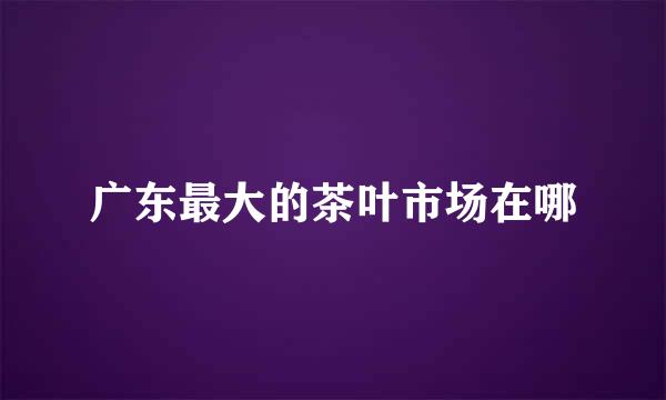 广东最大的茶叶市场在哪