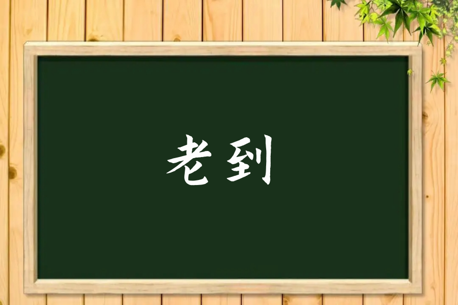 老到的意思