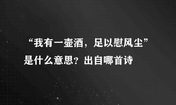 “我有一壶酒，足以慰风尘”是什么意思？出自哪首诗