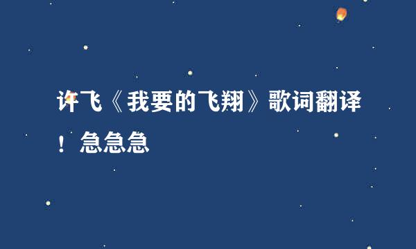 许飞《我要的飞翔》歌词翻译！急急急