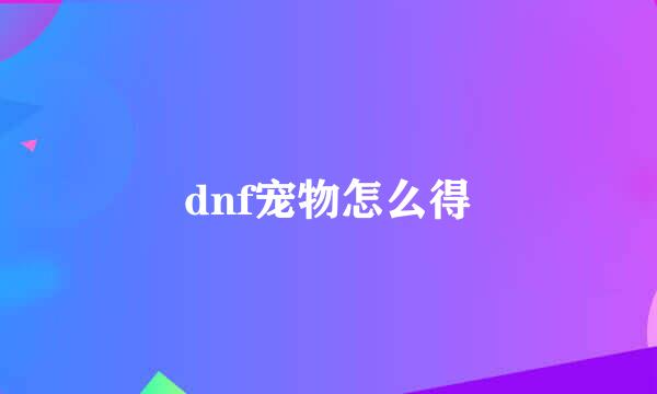 dnf宠物怎么得