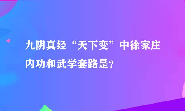 九阴真经“天下变”中徐家庄内功和武学套路是？