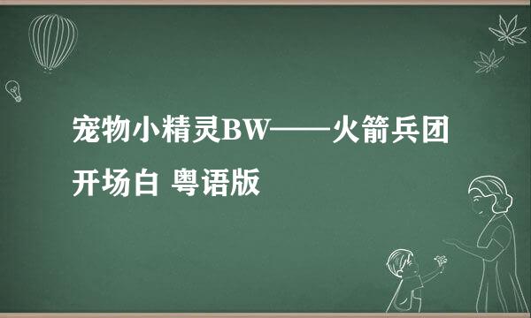 宠物小精灵BW——火箭兵团开场白 粤语版