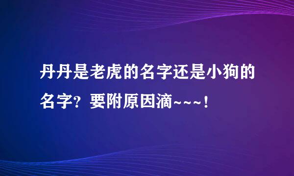 丹丹是老虎的名字还是小狗的名字？要附原因滴~~~！