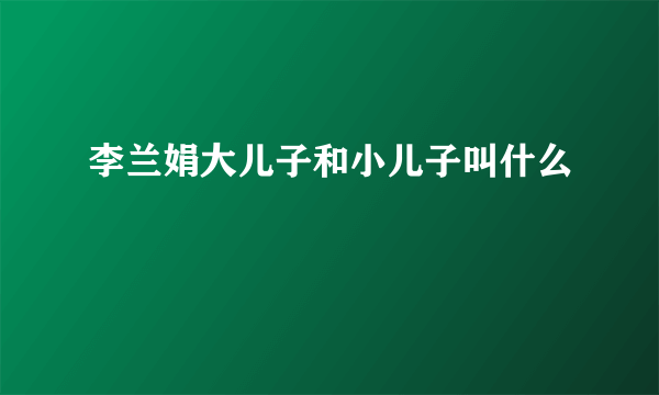 李兰娟大儿子和小儿子叫什么