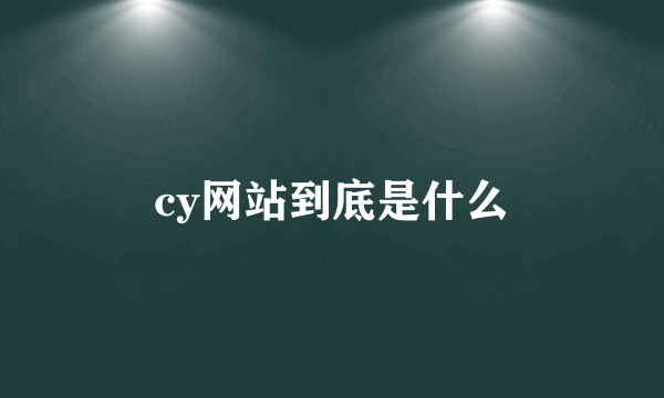 cy网站到底是什么