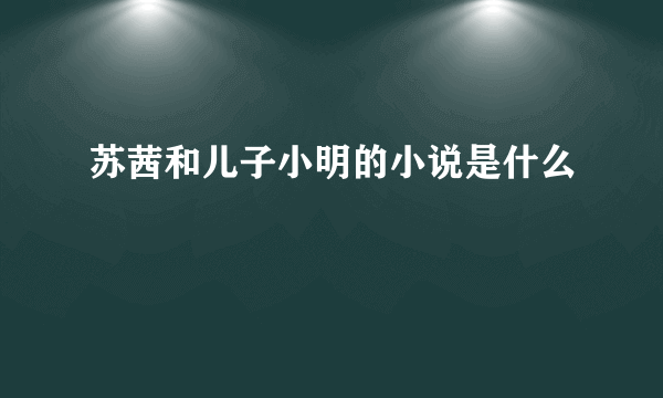 苏茜和儿子小明的小说是什么