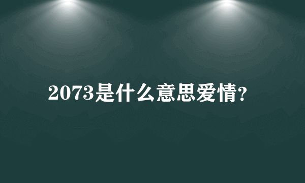 2073是什么意思爱情？