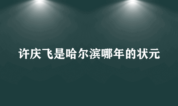 许庆飞是哈尔滨哪年的状元