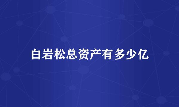 白岩松总资产有多少亿