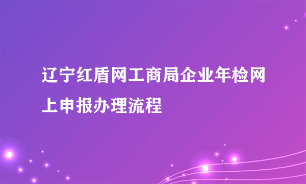 辽宁红盾网工商局企业年检网上申报办理流程