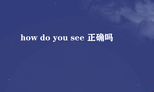 how do you see 正确吗