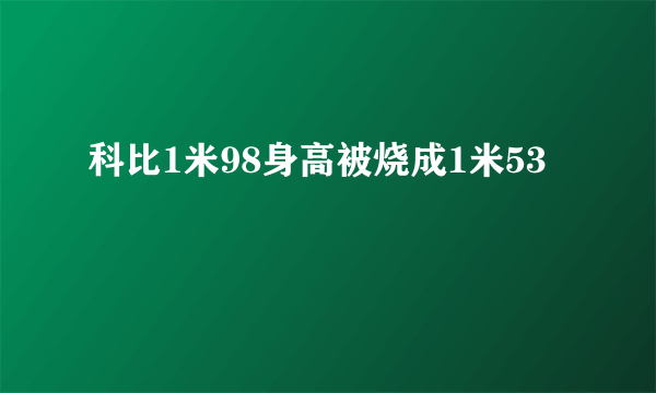 科比1米98身高被烧成1米53