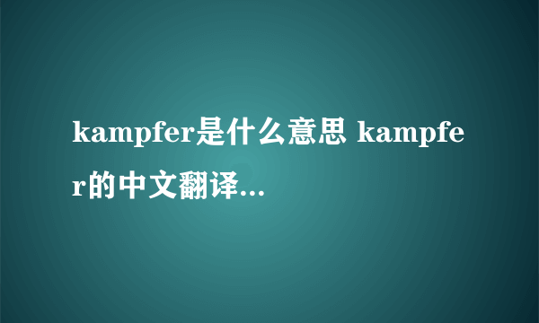 kampfer是什么意思 kampfer的中文翻译、读音、例句