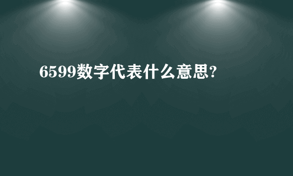 6599数字代表什么意思?