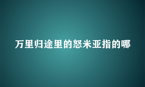 万里归途里的怒米亚指的哪