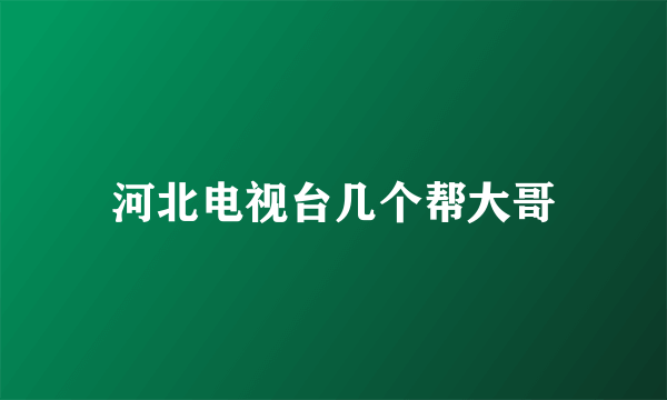 河北电视台几个帮大哥