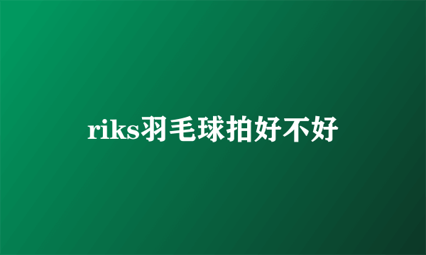 riks羽毛球拍好不好