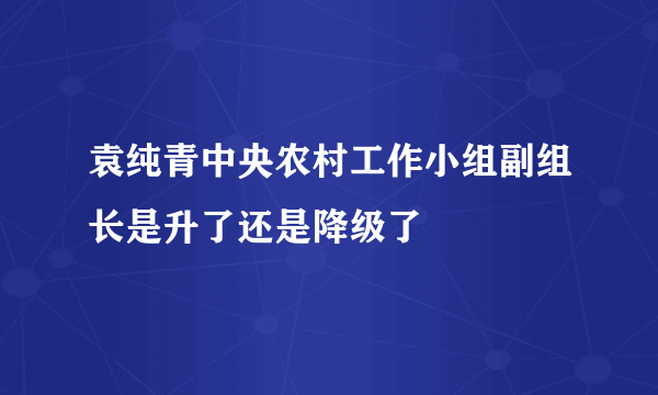 袁纯青中央农村工作小组副组长是升了还是降级了