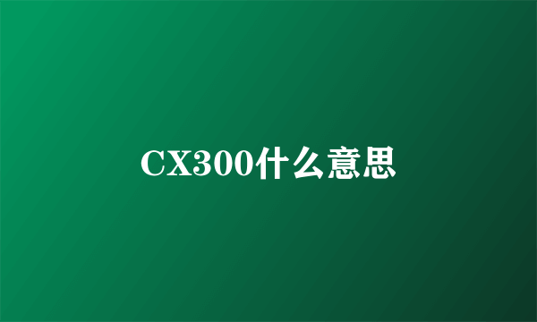 CX300什么意思