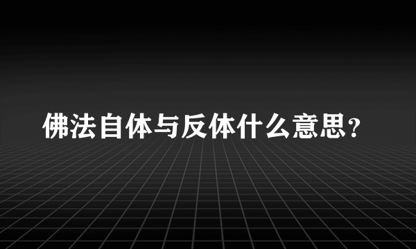 佛法自体与反体什么意思？