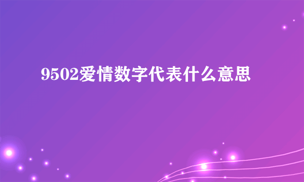 9502爱情数字代表什么意思